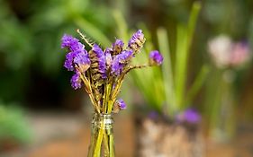 Casa de Palos Boutique